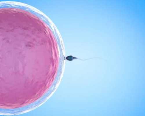 供卵试管4次移植机会&供卵要钱吗,卵巢早衰的治疗方法大全