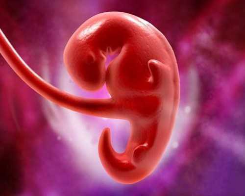 杭州供卵试管婴儿胚胎移植越多越好？