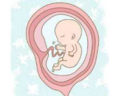 温州代生双胞胎网 2023温州医科大学附属第一医院试管婴儿成功率一览，附202
