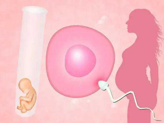 杭州代孕一个大概多少钱|试管宫外孕的前期症状
