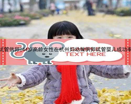 杭州代怀试管供卵|44岁高龄女性在杭州妇幼做供卵试管婴儿成功率有多高？